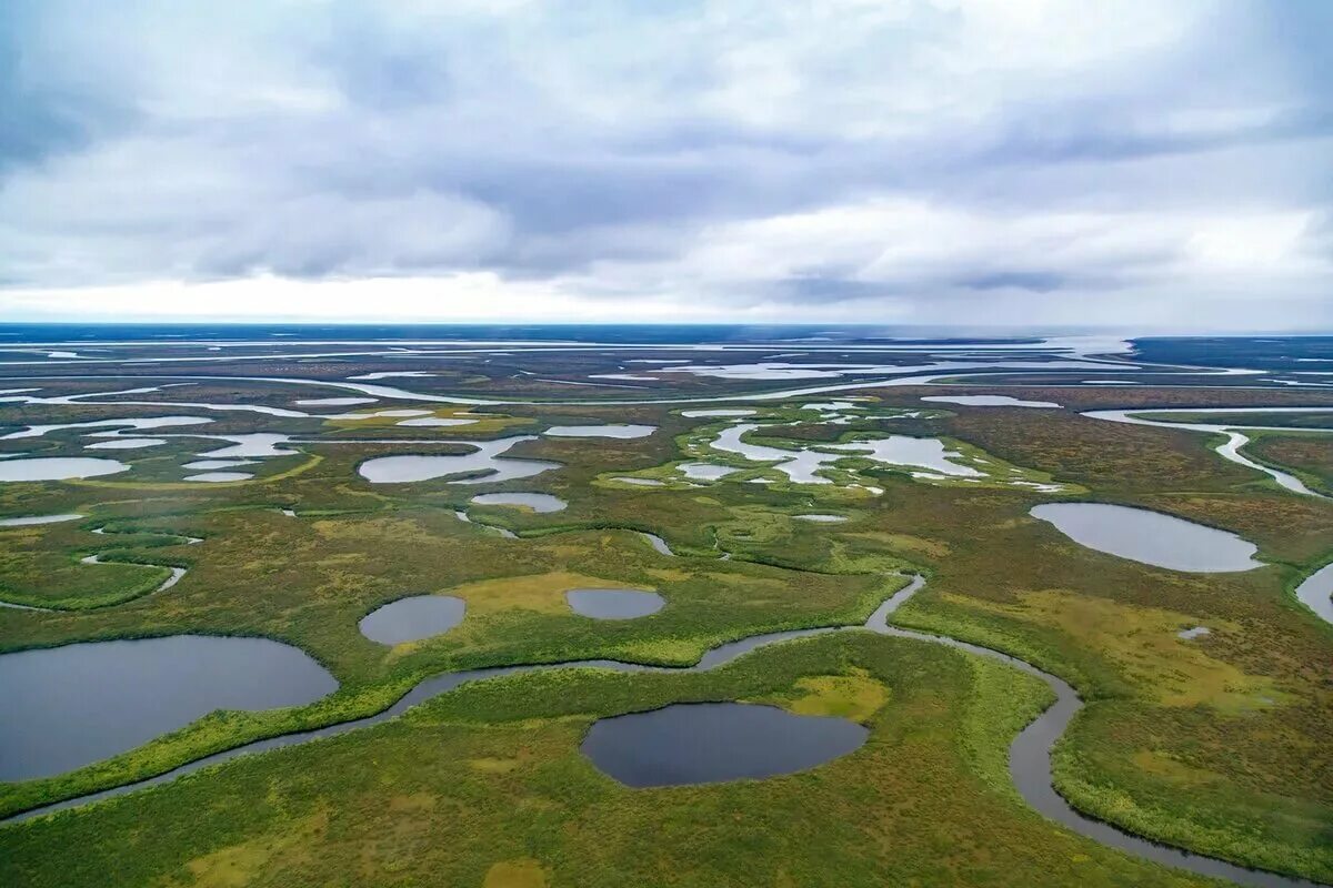 Тундра восточно европейской равнины. Карта западно сибирской равнины с городами. Северосибирска нищменность. Река котуй таймыр. Равнины якутии.