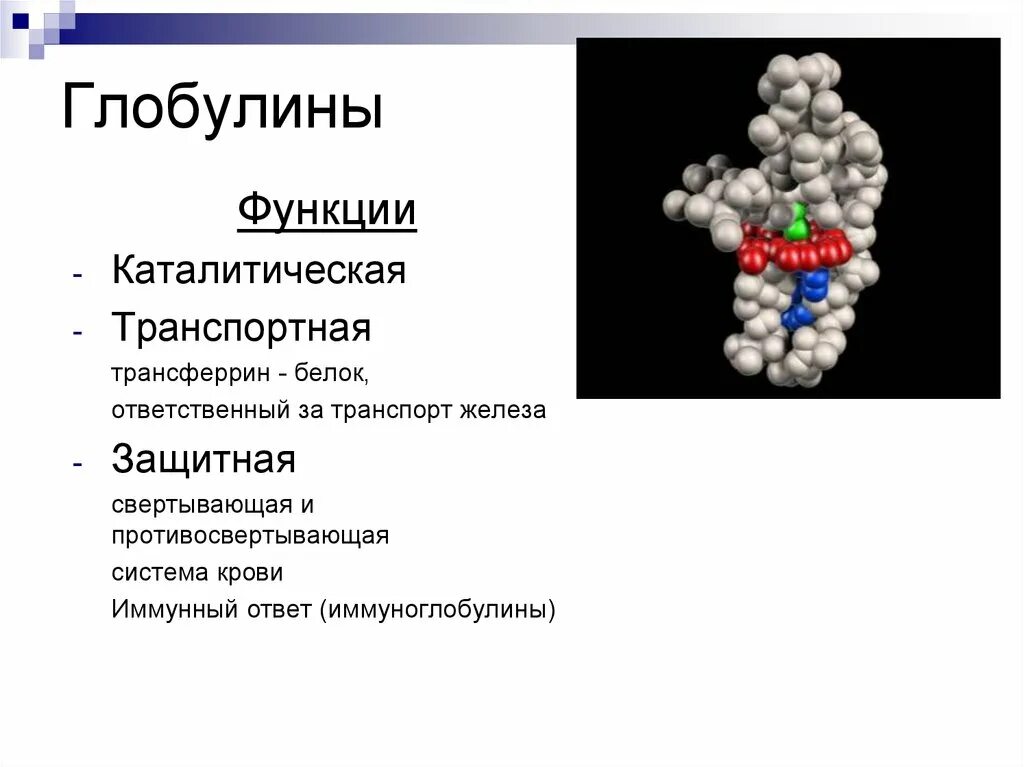 Бета 1 глобулин. Глобулины функции в крови. Альфа 1 глобулины функции. Структура белка альбумин глобулин. А1 глобулины функции.