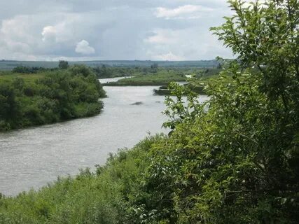 Заринск река