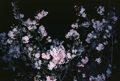 Pastel shadows