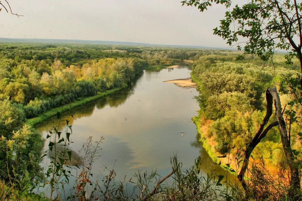 Хоперский государственный природный заповедник воронежская область. Хоперский заповедник воронежской. Хоперский государственный заповедник. Хоперский государственный природный заповедник воронежская область. Хоперский природный заповедник.