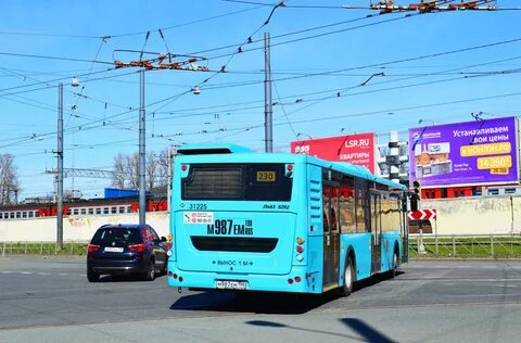 121 автобус спб