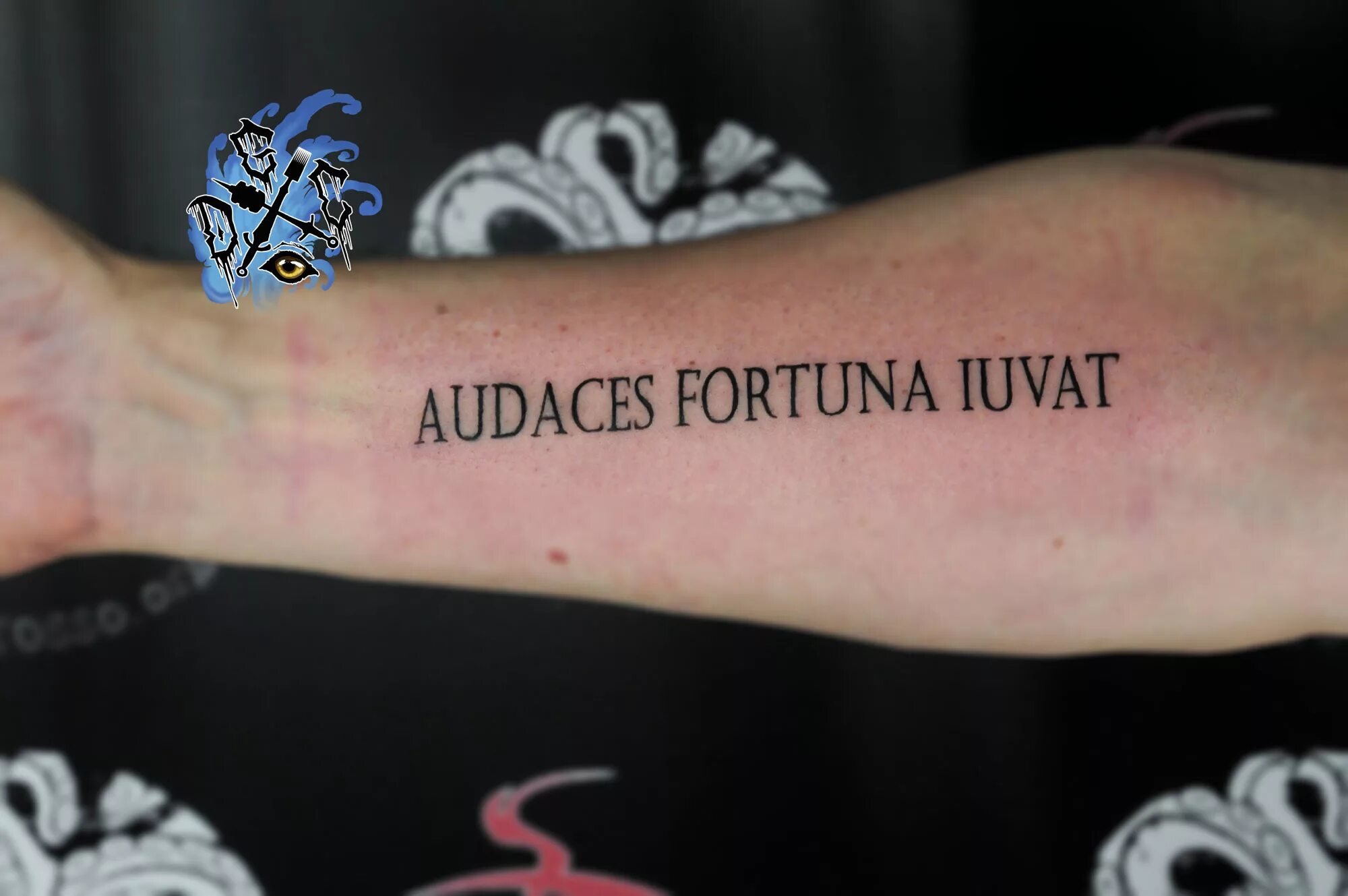 Try to fortuna. Fortis Fortuna на руке. Audaces Fortuna Juvat тату. Fortes Fortuna adjuvat Татуировка на руке. Fortuna надпись.