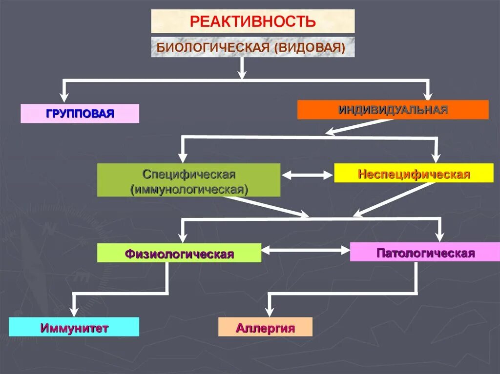 Видовая патологическая специфическая реактивность. Классификация реактивности патофизиология. Типы реактивности организма. Реактивность патофизиология.