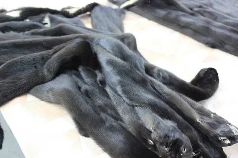 Погода в д норки