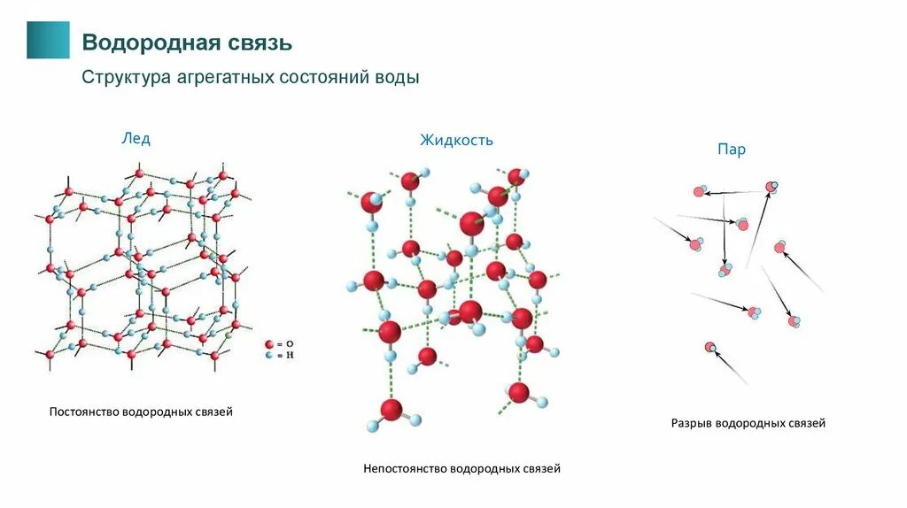 Структура льда и воды. Водородная связь в воде схема. Водородные связи в воде. Разрыв водородных связей.
