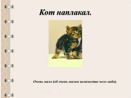 Фразеологизмы 3 класс кот наплакал