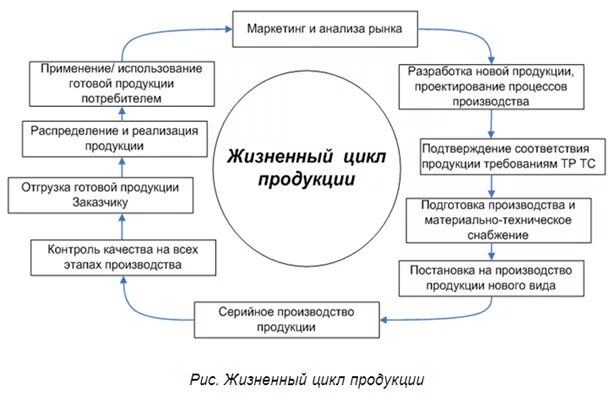 Жизненный цикл продукции схема. Схема этапов технологического цикла товаров. Этапы жизненного цикла продукции схема. Стадии и этапы жизненного цикла продукции.