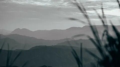 Hills fog
