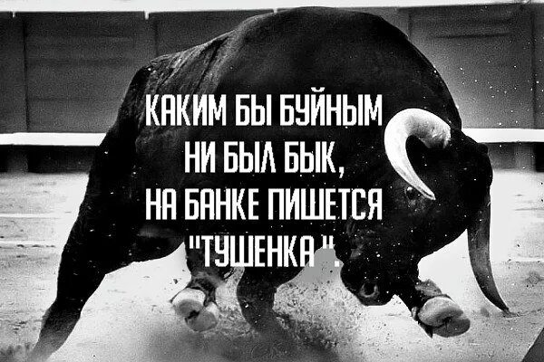 Какой бы он ни был хороший