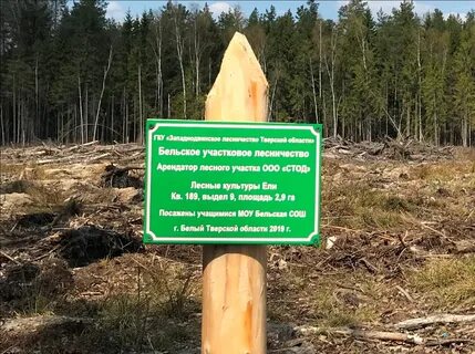 В месте выезда из лесистого
