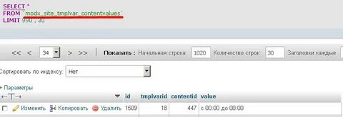 Modx чанки