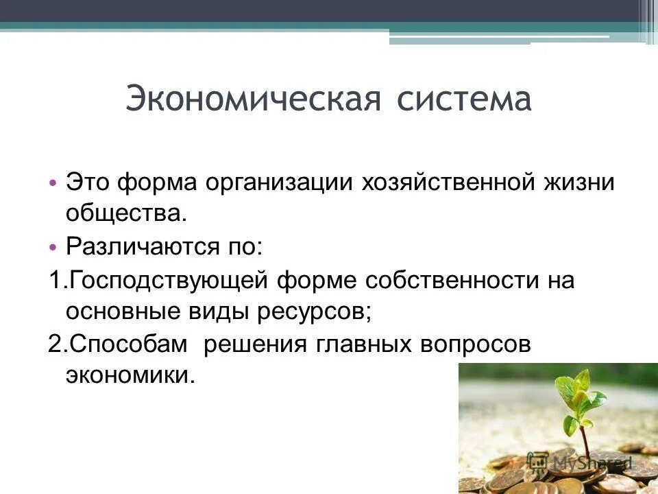 хозяйственная жизнь это