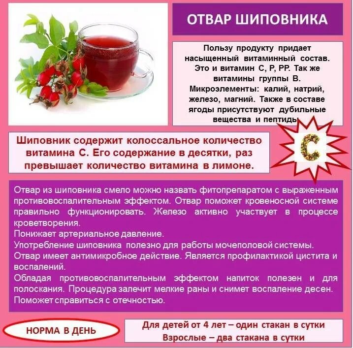 Как пить отвар до или после