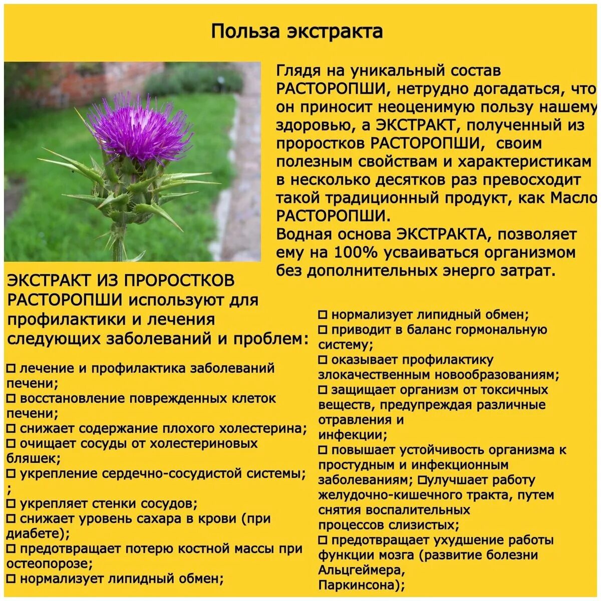 Расторопша при каких заболеваниях. , 300 мг, 30 шт. Расторопша при каких заболеваниях. Расторопша атоми. Расторопша при каких заболеваниях.