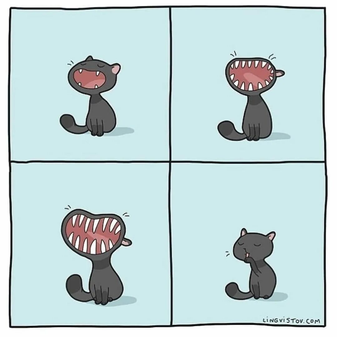 Кошка делает мяу