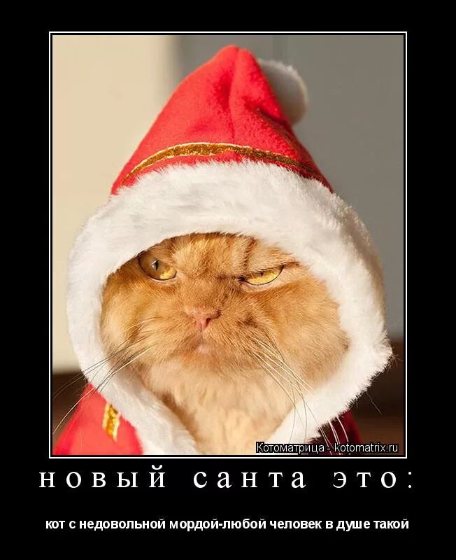 Цитаты про отсутствие новогоднего настроения. Никакого новогоднего настроения. Настроить новогоднее настроение. Если вы не чувствуете приближение праздника. Вы чувствуете как приближается новый год.