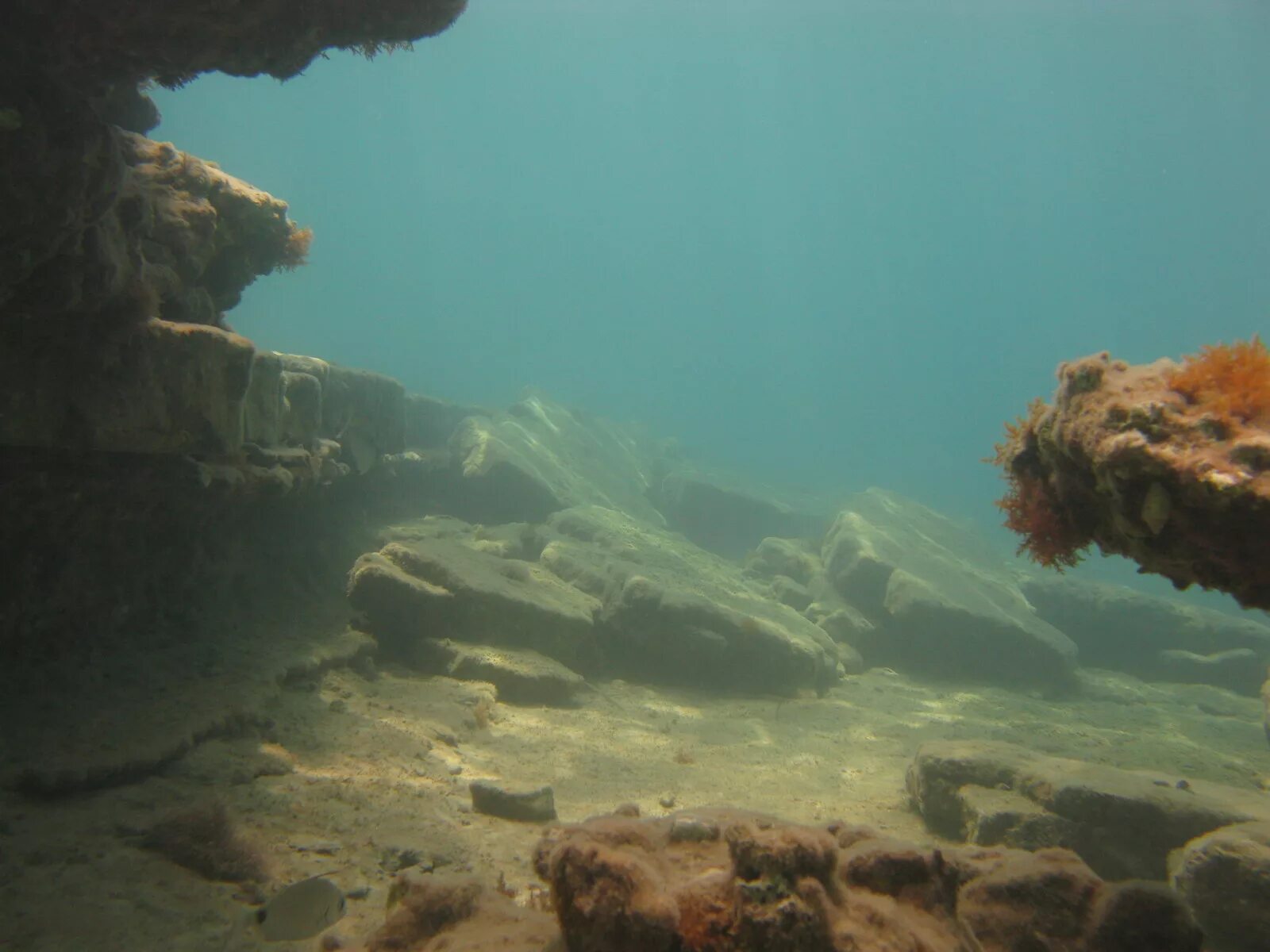 Море глубина. Глубоководное Морское дно. Дно черного моря. Красные глины на дне океана.