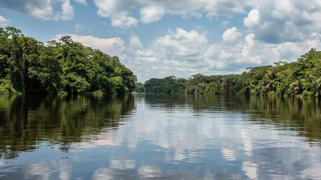 Демократическая республика конго река конго. Конго заир река. Бассейн реки конго. Долина реки конго. Река конго.