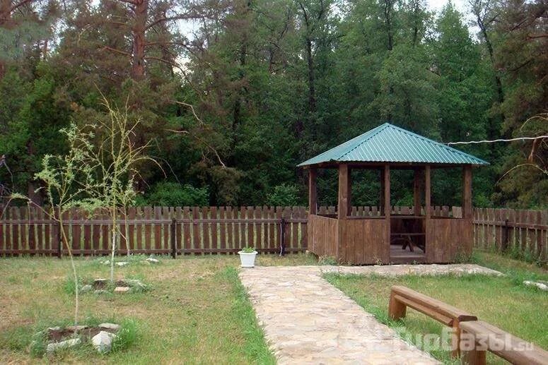 Турбаза сосны бузулукский бор. Ривьера бузулукский бор. Речка боровка бузулукский бор. Бузулукский бор турбаза. Ривьера бузулукский бор.