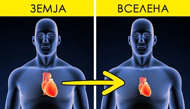 Влияние невесомости на организм человека. Человек вселенная космос. Тела людей в космосе. Космическая болезнь у космонавтов. Человек в космосе.