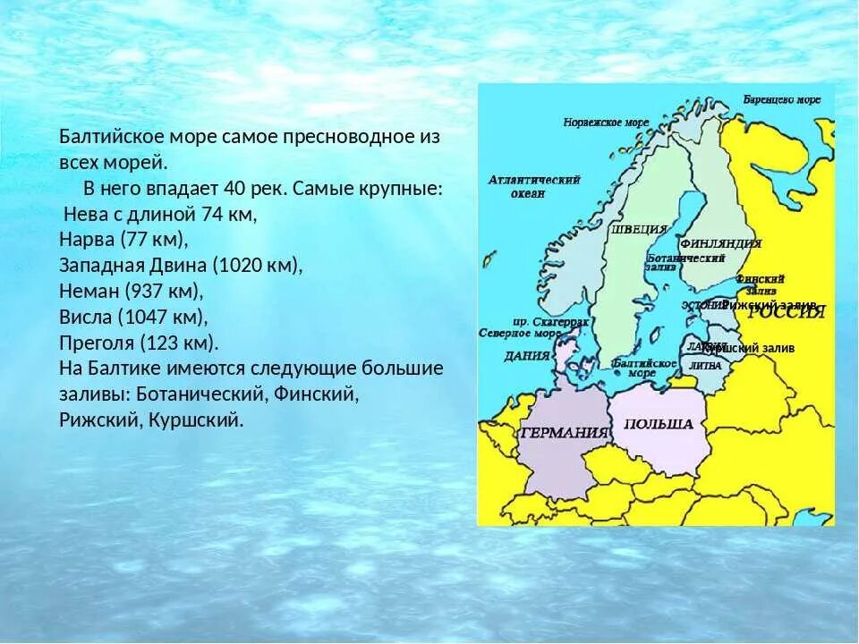 Крупные реки балтийского моря