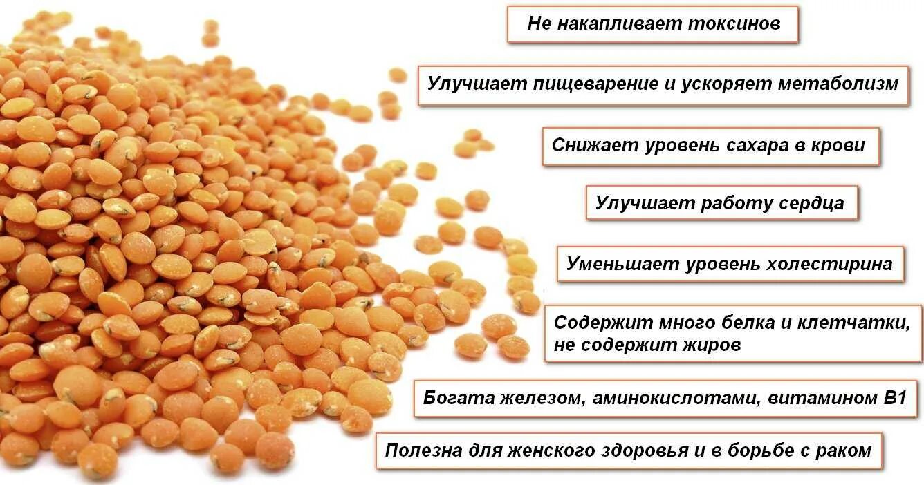 Бобовые микроэлементы