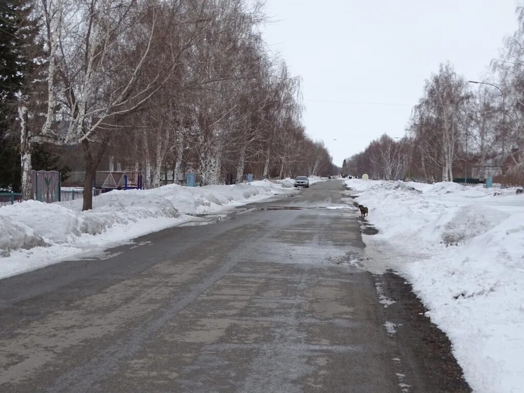 Погода костино орехово. Костино (Орехово-Зуевский район). Межсезонье дороги.