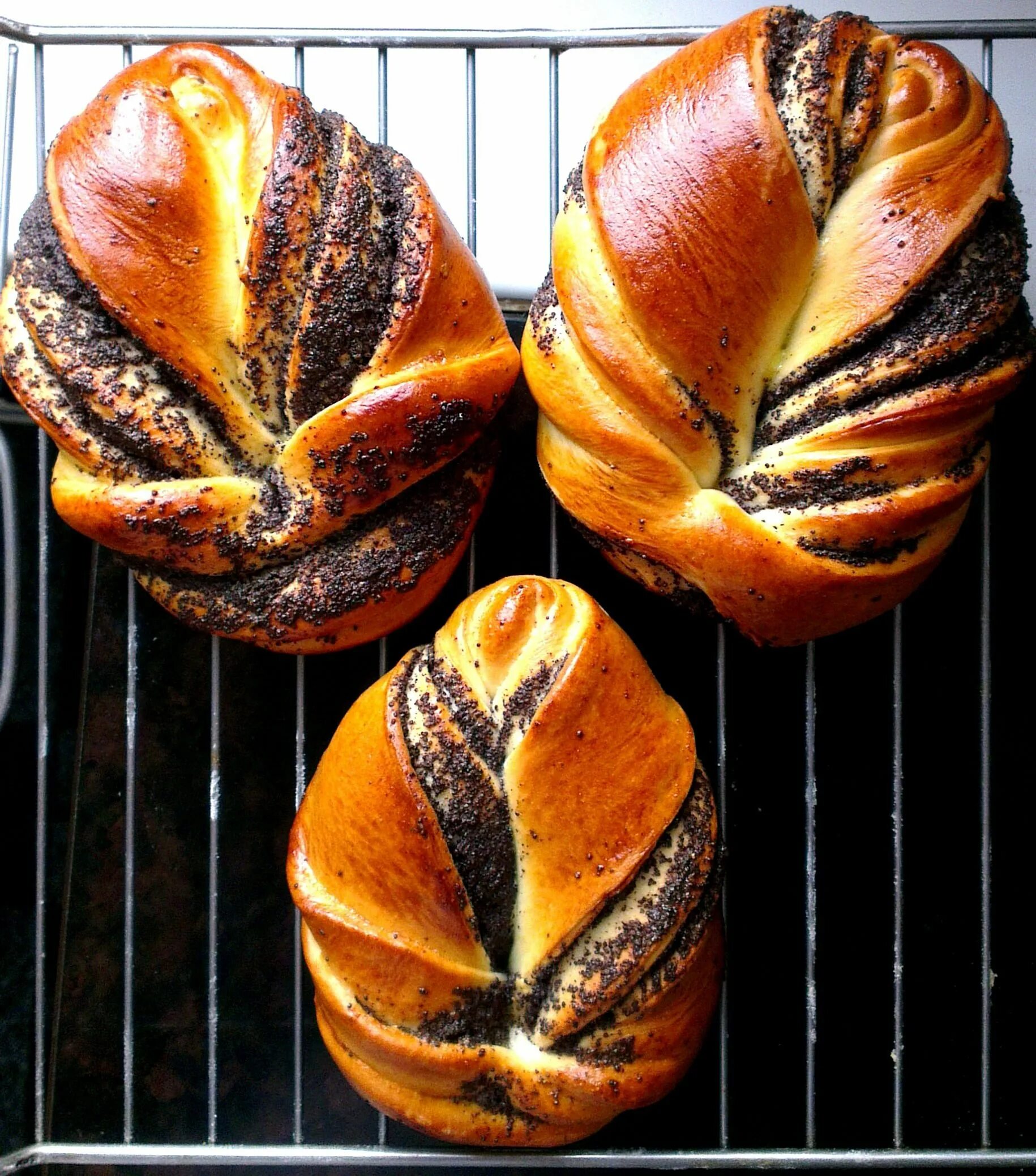 Как сделать булочки с маком из дрожжевого. Булочка с маком. плюшки с маком из дрожжевого теста. выпечка с маком из дрожжевого. булочки с маком из дрожжевого.
