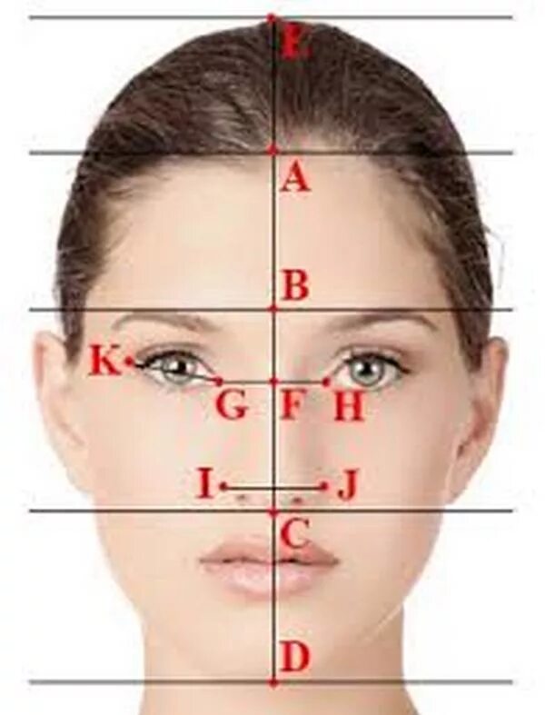 Как узнать лицо. Идеальное лицо. Форма лица пропорции. Идеальные пропорции лица. Идеальное лицо по пропорциям.
