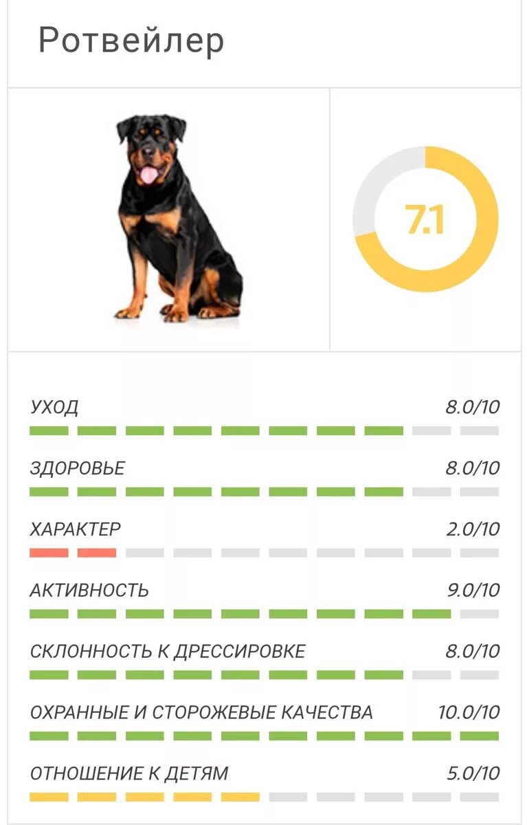 Рейтинг умных пород. Рейтинг интеллекта пород собак. Статистика пород собак. Список собак по уму. Шкала интеллекта пород собак.