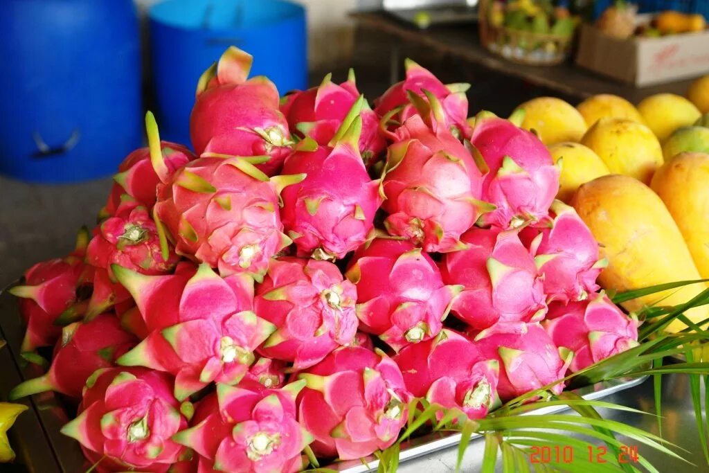 Манго тайланд. Таиланд рынок манго. Сорта манго в тайланде. Вкус манго. Манго паттайя.