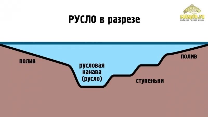 Курс русла. Бровка русла реки. бровка на реке. река в разрезе. бровка на водоеме.