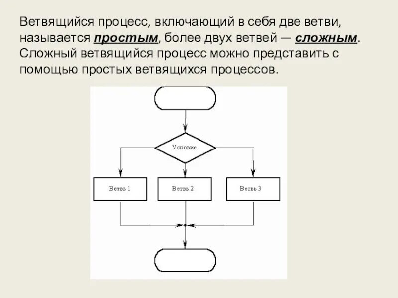 Процесс включает в несколько. Ветвящиеся процессы. ветвящийся вычислительный процесс. моделирование ветвящихся процессов. ветвящийся вычислительный процесс примеры.