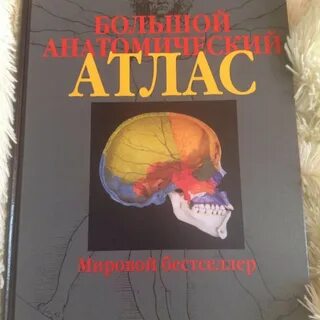 Высшая анатомия