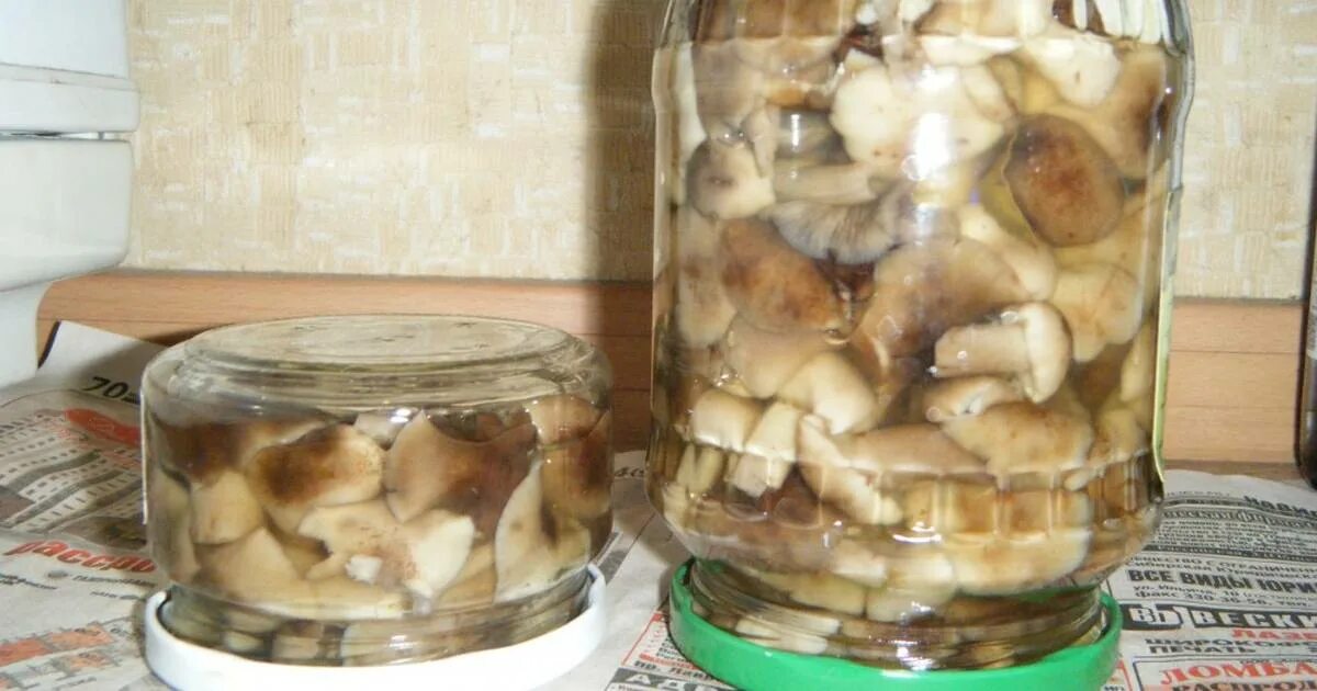 Рецепт опят на зиму с уксусом. Опята маринованные. Калорийность маринованных грибов опята. Грибы опята маринованные на зиму. Фото маринованных опят.