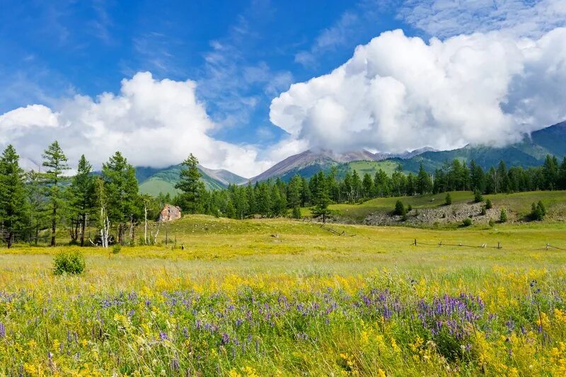 В м саянов. Июль природа казахстан. иван саянов фотоработы. саяны в полдень. саян рай.