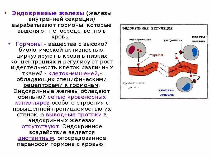 Железы выделяющие гормоны роста. Какой тканью образованы железы внутренней секреции. Гормоны желёз внутренней секреции. Железы внутренней секреции вырабатывают гормоны которые. Железы внутренней секреции образуют.