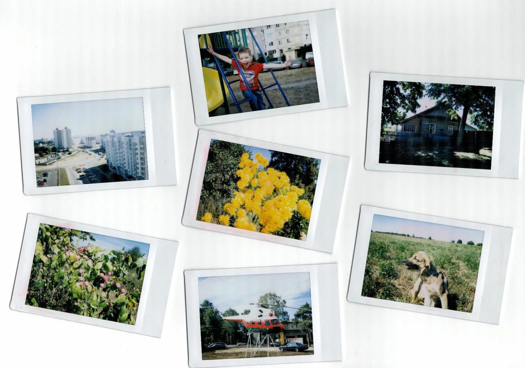 Полароидные фото спб Review of the vienna polaroid photo tour with instant tours Photo tour, Polaroid