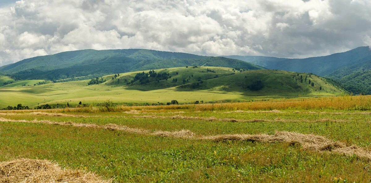 Предгорье Алтая. Природа станицы Северской. Северский район Краснодарского края. Предгорье Убинка.