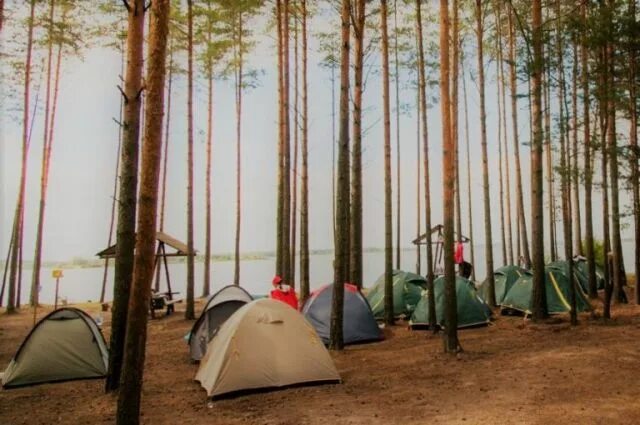 Рыбинское водохранилище кемпинг с палатками. Истринское водохранилище с палатками. истринское водохранилище кемпинг. рыбинское водохранилище с палатками. в пирогово с палатками.
