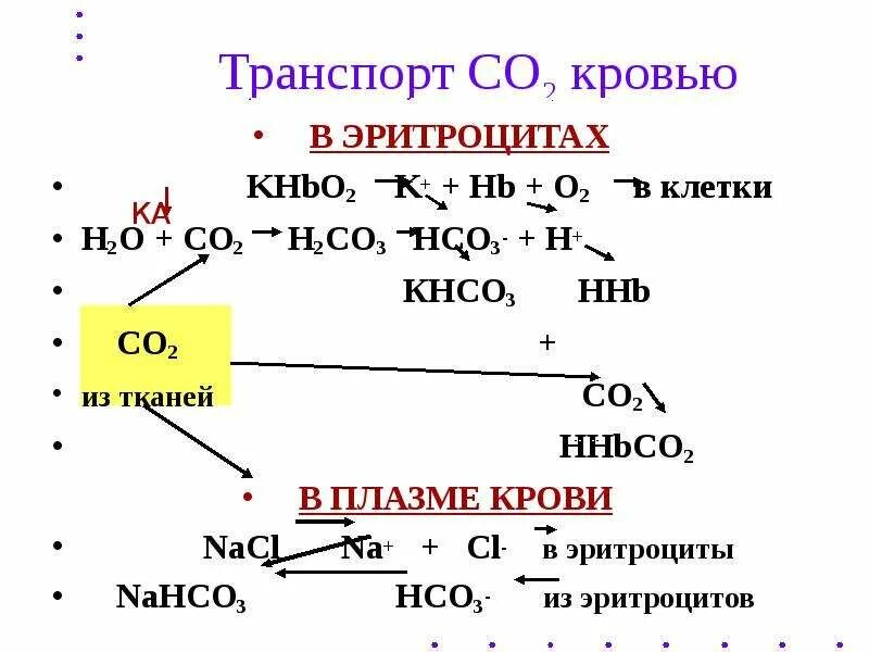 Транспорт газов о2 и со2 кровью. Транспорт газов кровью физиология co2. Транспорт о2 и со2 кровью физиология. Транспорт со2 кровью биохимия. 3 перенос газов кровью