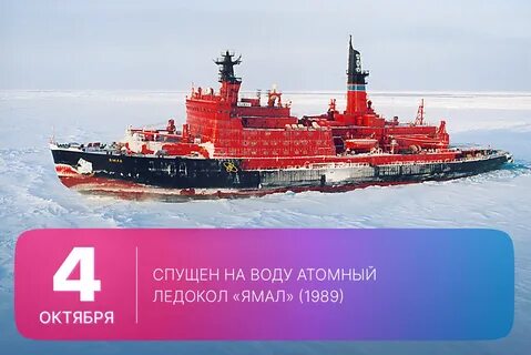 Радостный красноватый преотличный