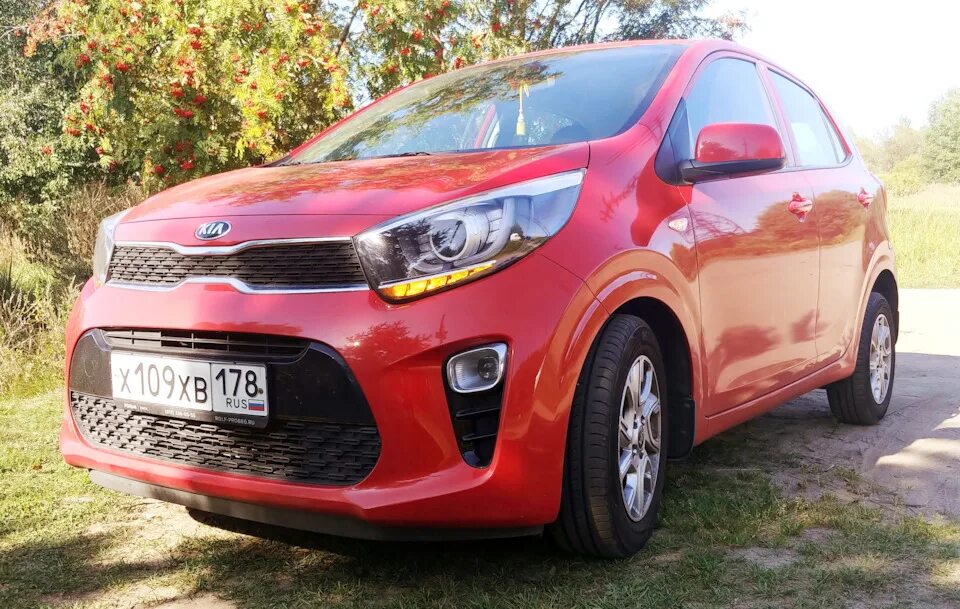 Kia picanto 2017. Киа Пиканто 2017. Кия Пиканто 2017 года. Стайлинг Kia Picanto. Picanto Raptor.