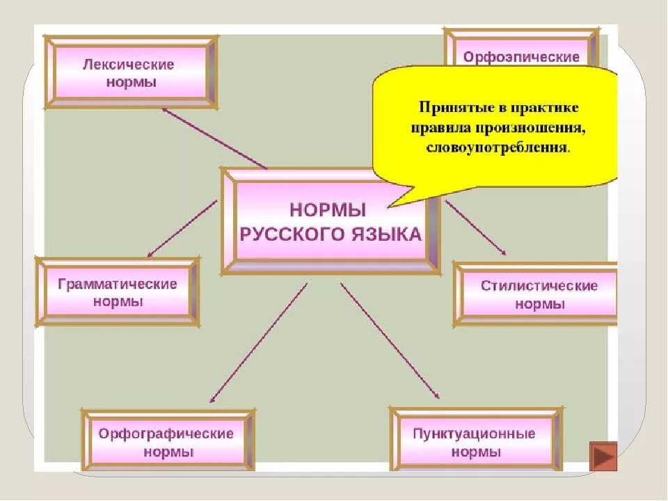 Современный русский литературный язык примеры слов. Нормы лексики в русском языке. Основные лексические нормы русского языка. Лексические нормы современного русского литературного языка. Основы лексической нормы современного русского литературного языка.