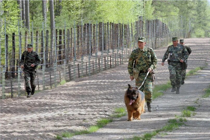 Шел со службы пограничник. Шел со службы пограничник. Солдат бери шинель пошли домой. Шел со службы пограничник. Шёл со службы пограничник, на груди звезда горит.