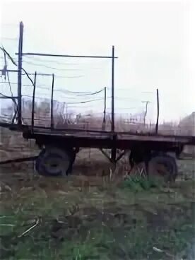 Сеновозка птс 4 своими руками. Прицеп тракторный сеновозка. Прицеп 2птс4 сеновозку. Прицеп птс 40 мажара. Сеновозка арба.