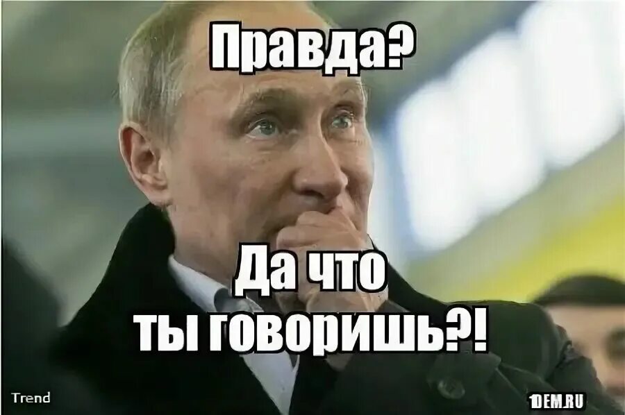 Ну сейчас говорила