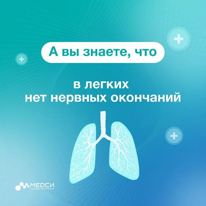 Легко напомнить. Афоризмы про отпуск. Попросит мозг у гудвина. Jenny текст. Креативные надписи.