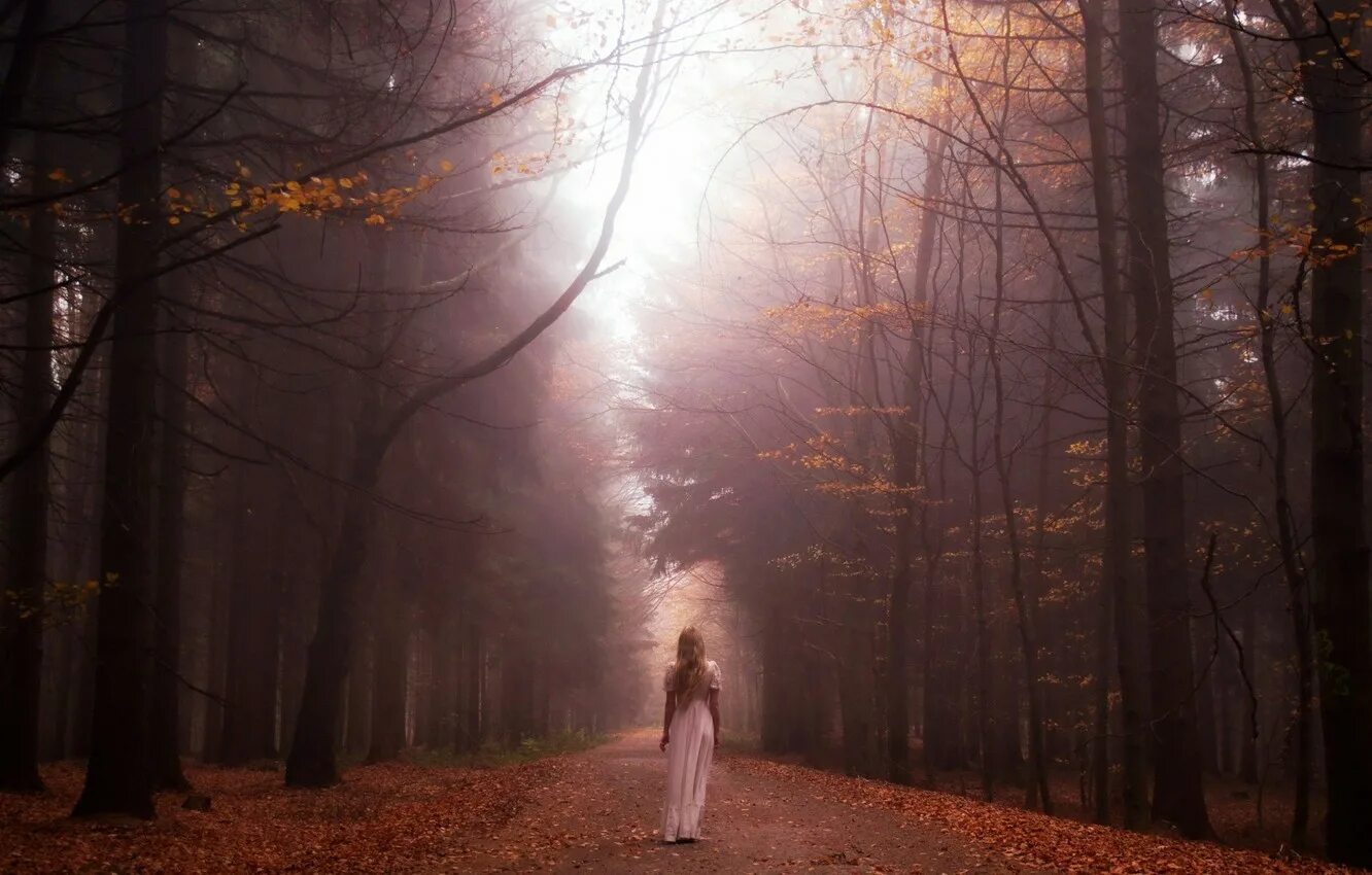 куда уходит лес. дорога в поле. тропинка уходящая в лес. человек идет по тропинке. ронин последний самурай.